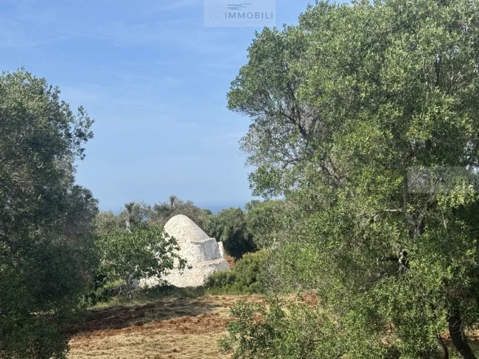 Tomt i Carovigno, Brindisi - bilde 1